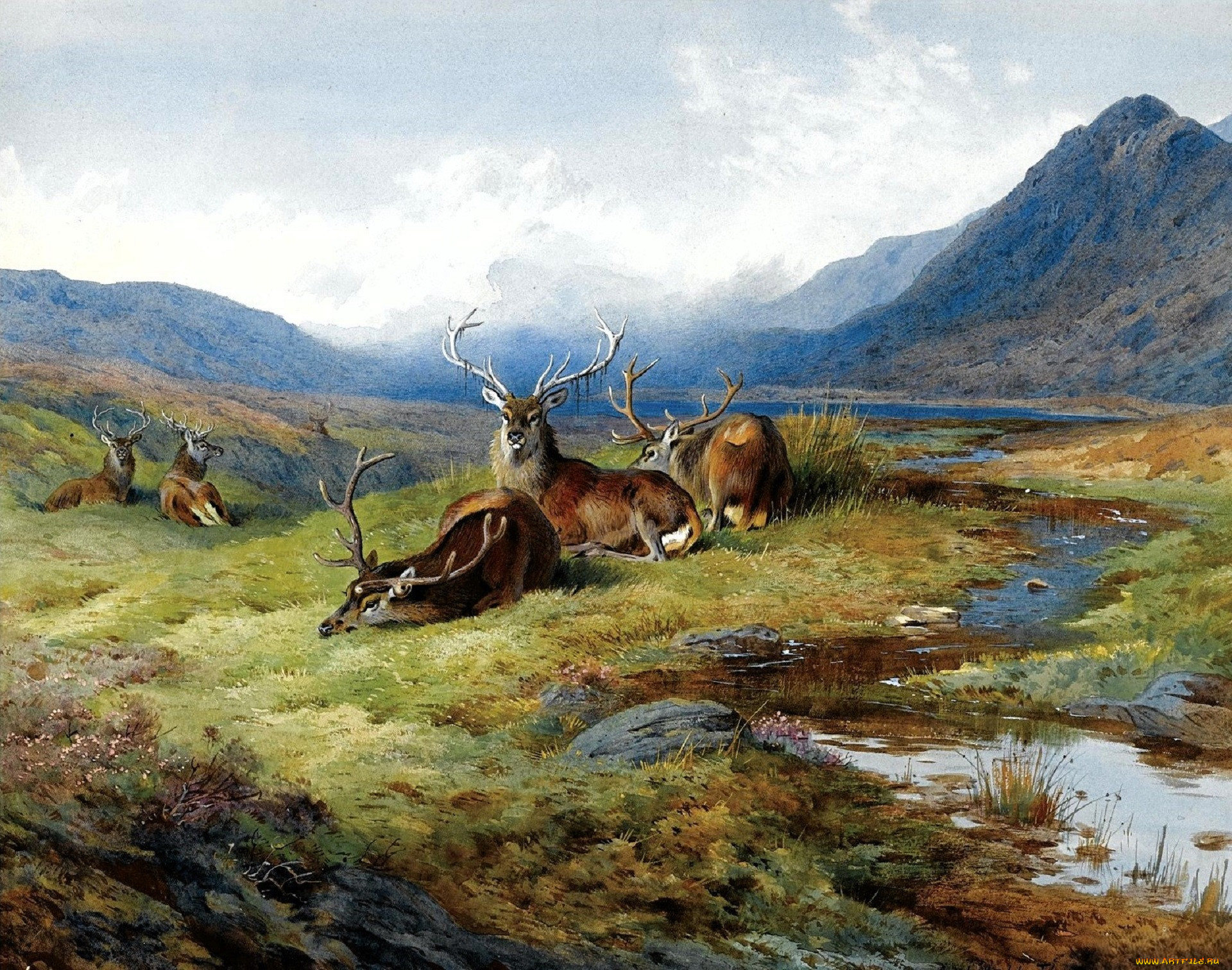 , archibald thorburn, , , , , 